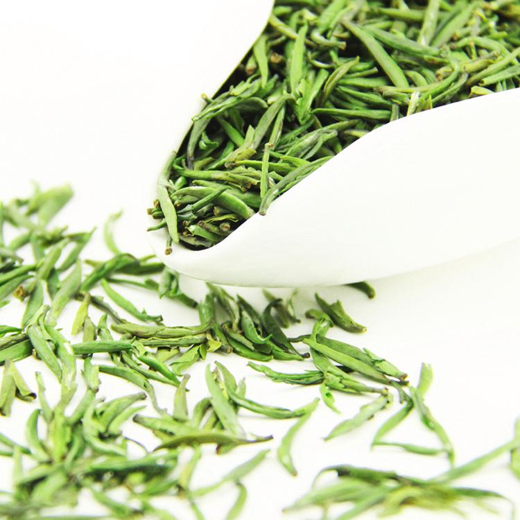 喝绿茶具有健康又瘦身功效？