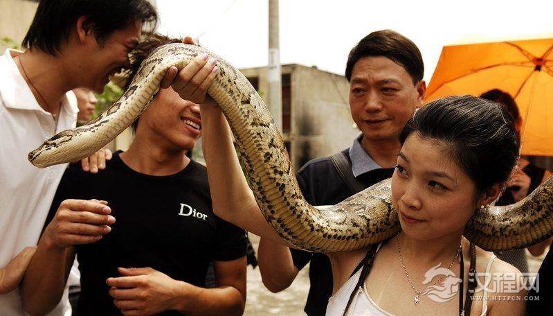 汉族节日蛇王节简介中国人的蛇信仰是怎样的？