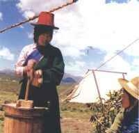乌孜别克人有哪些风味小吃？米肠子的制作方法是什么？