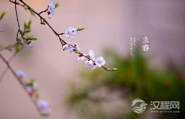 立春习俗