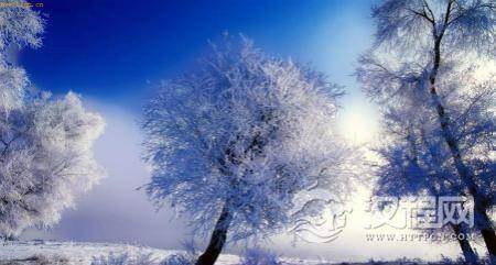 汉武帝曾设置“冬至节” ：官府要举行“贺冬”仪式