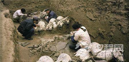 考古最新发现：秦始皇陵里有个“动物世界”