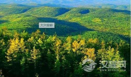 中国最大的原始森林区是内蒙古的大兴安岭，总面积有94.6万公顷