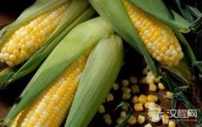 古代逢年过节或宴请客人为什么不能将玉米摆出来 其实原因很简单