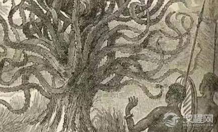 关于食人树的传说有哪些？食人树真的会吃人吗？