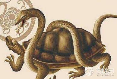 古代算命的时候为何都要用龟壳呢 这里有什么说法吗