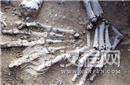 揭秘肯尼亚发现万年前人类遗骨 或记录史前大屠杀