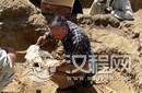 埃及古城惊现：3500年前动物残骸