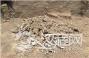 内蒙古多伦县再次发现一座辽代贵族墓葬
