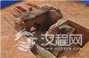 湖南宁乡发现大规模汉代古墓群 已发掘墓葬13座