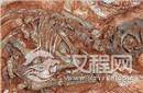 距今1.9亿年！研究发现最老恐龙晶胚化石