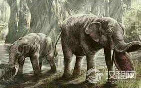 惊叹不已!动物七大最神奇的进化祖先是什么