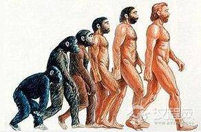 人类是如何进化的:揭秘谁是第一个原始人?