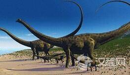 巨型恐龙的秘密:之字形骨头支撑整个长脖子