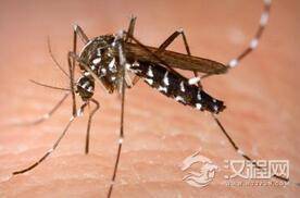 为什么蚊子总喜欢咬你？或许跟气味有关