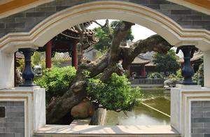 细赏广东四大名园，体味中式古典园林的精巧雅致