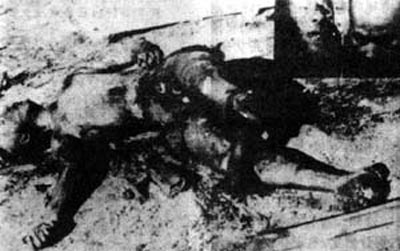 林彪叛国出逃　坠机身亡