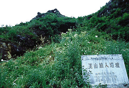 三峡建起“巫山猿人”陈列馆