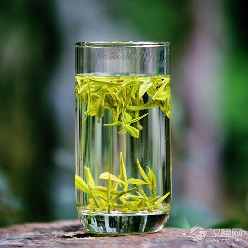 绿茶为何是超级饮品