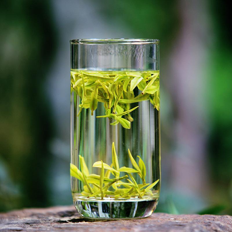 安吉白茶的品质特点是什么？