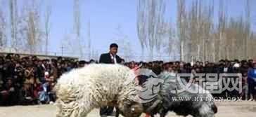 维吾尔族的“诺鲁孜节”在农村是怎样庆祝的