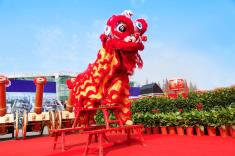 舞龙舞狮：中国民间舞蹈的传统与象征