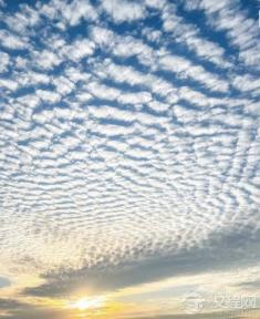 “天现鱼鳞云,三日必有雨”:古人观云识天的谚语,精准度为何堪比现代天气预报?