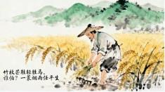 苏东坡：如何将一生的颠沛流离活成诗与远方