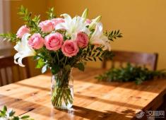 “动词+一下”的温和革命：汉语如何给动作“降调”