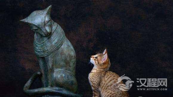 木乃伊为什么害怕猫？缠在木乃伊身上的白布有什么用处？
