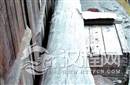 200年古木现神秘文字 古木上的符号究竟是什么