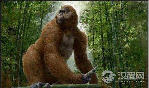 世界上最大的猿，巨猿高3米/重1200斤(活撕霸王龙)