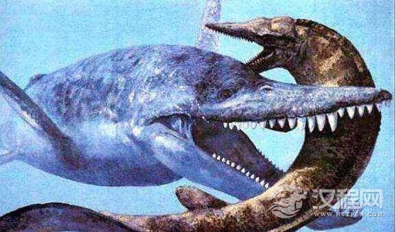 说到史前巨兽可以说是非常之多，那么你知道史前第一可怕巨兽是那个吗？