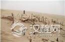 考古发现：沙漠惊现神秘的喀拉沁古城