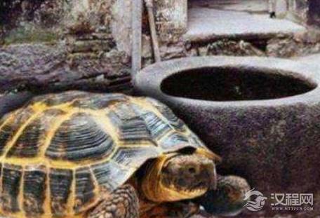 古人打水井的时候 为什么要在水中放两只乌龟