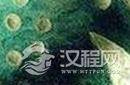 惊天谜团：揭开德国3600年历史的星象盘之谜