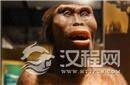 考古发现“澎湖原人”化石揭晓人类原始生活
