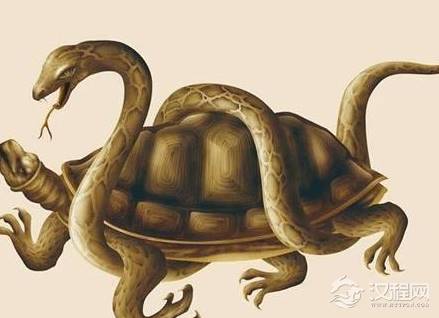 古代挖水井为什么要放乌龟 放乌龟为什么是两只而不是一只