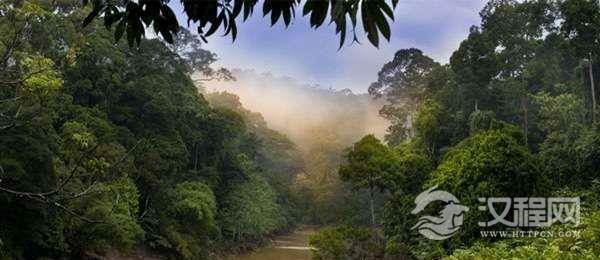 地球之肺，世界最大的热带雨林—亚马逊热带雨林