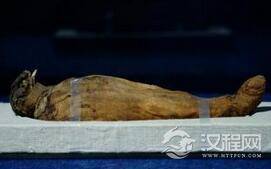 古埃及鹰木乃伊真身竟是流产人类胎儿吗
