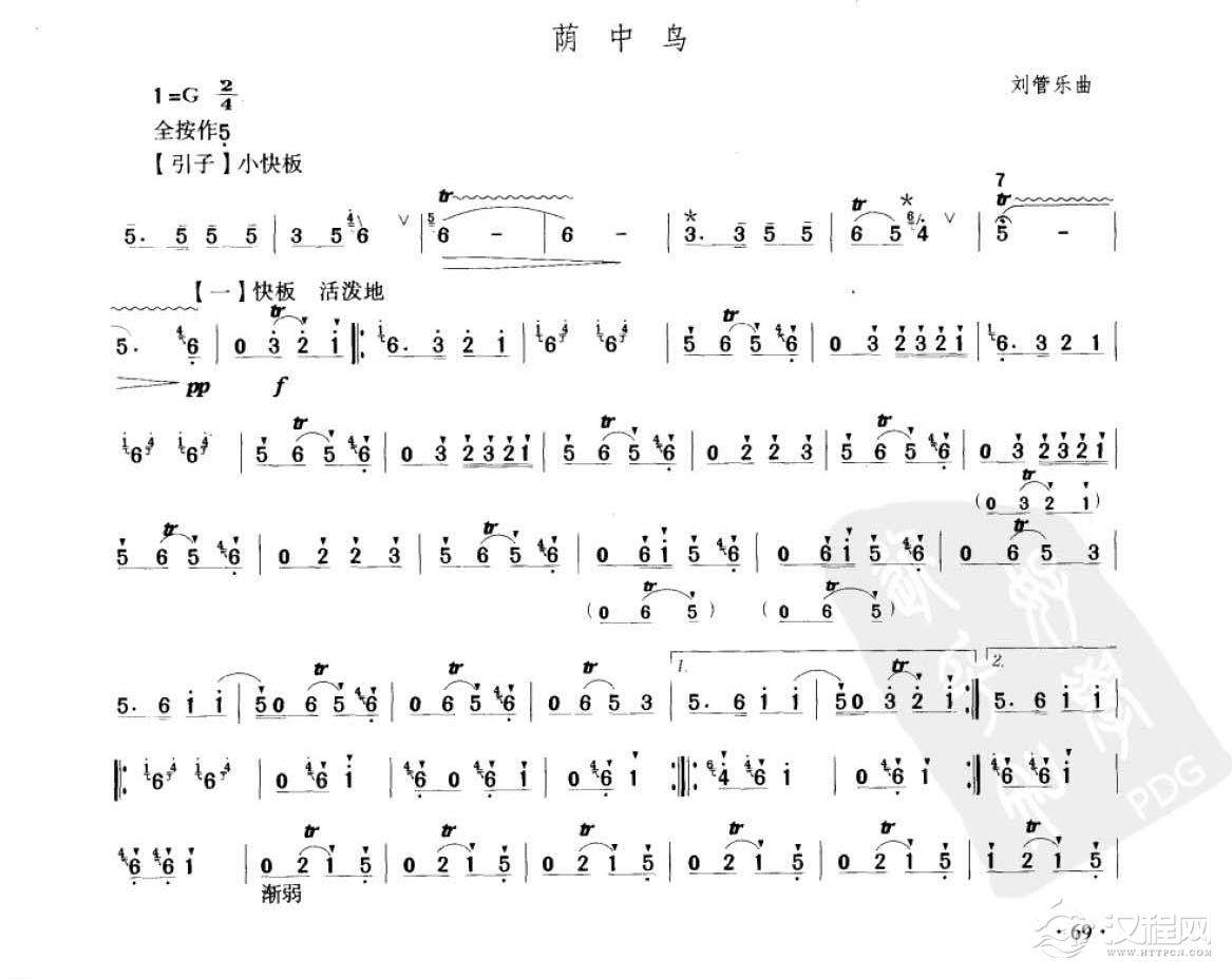 荫中鸟笛子独奏图片