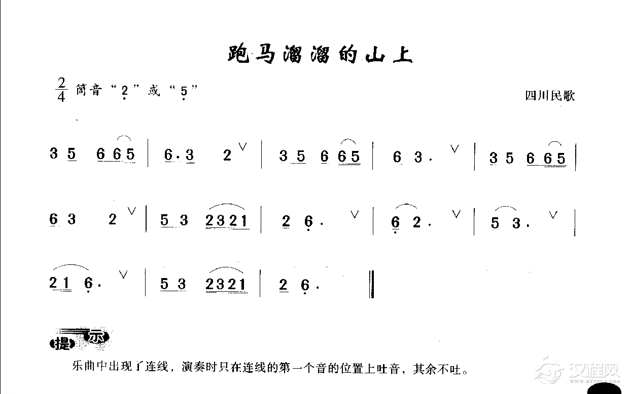 初级笛箫乐曲《跑马溜溜的山上》简单的竹笛曲