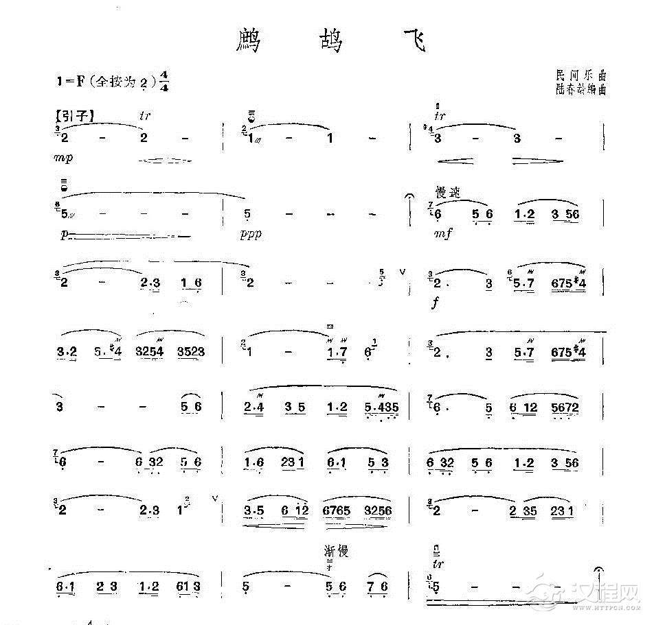 鹧鸪飞简谱陆春龄图片