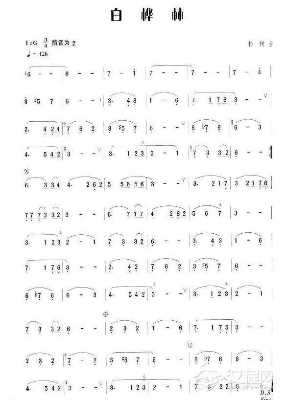 笛子流行金曲《白桦林》