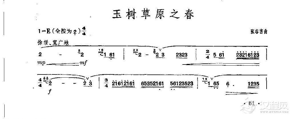 经典竹笛乐曲《玉树草原之春》张谷密曲