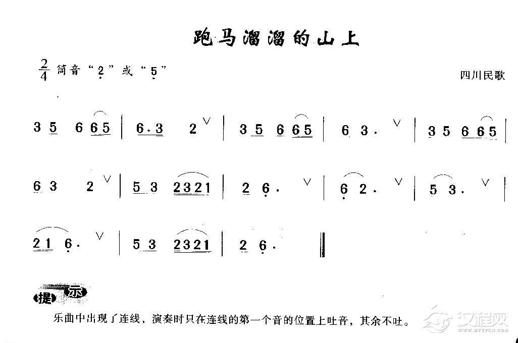 洞箫初级演奏乐曲《跑马溜溜的山上》四川民歌