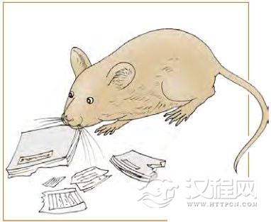 晋卦第四爻，爻辞：九四：晋如鼫鼠，贞厉。
