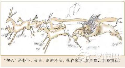 遁卦第一爻，爻辞：初六：遁尾；厉。勿用有攸