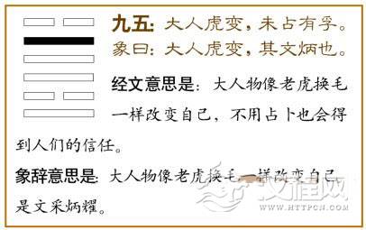 革卦第五爻，爻辞：九五：大人虎变，未占有孚。