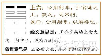 解卦第六爻，爻辞：上六：公用射隼于高墉之上，获之，无不利。